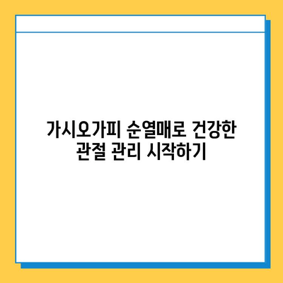 가시오가피 순열매, 연골 건강 지키는 특별한 비밀 | 관절 건강, 연골 관리, 가시오가피 효능