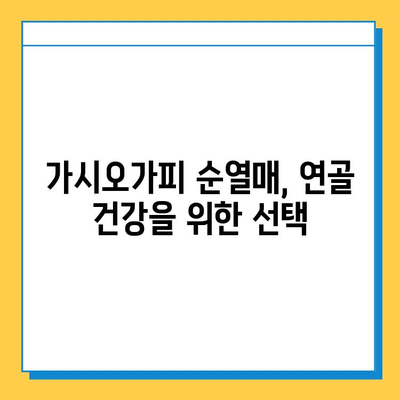 가시오가피 순열매, 연골 건강 지키는 특별한 비밀 | 관절 건강, 연골 관리, 가시오가피 효능