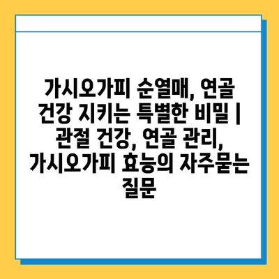 가시오가피 순열매, 연골 건강 지키는 특별한 비밀 | 관절 건강, 연골 관리, 가시오가피 효능