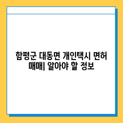 함평군 대동면 개인택시 면허 매매 가격 & 시세| 오늘의 정보 | 번호판, 넘버값, 자격조건, 월수입, 양수교육