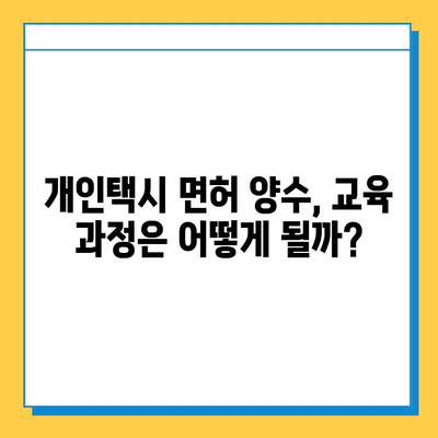 함평군 대동면 개인택시 면허 매매 가격 & 시세| 오늘의 정보 | 번호판, 넘버값, 자격조건, 월수입, 양수교육