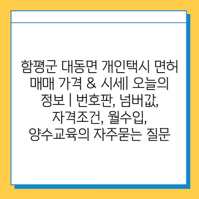 함평군 대동면 개인택시 면허 매매 가격 & 시세| 오늘의 정보 | 번호판, 넘버값, 자격조건, 월수입, 양수교육