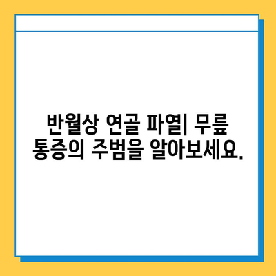 반월상 연골 파열| 증상, 치료, 그리고 완벽한 회복을 위한 재활 가이드 | 무릎 통증, 수술, 운동, 재활