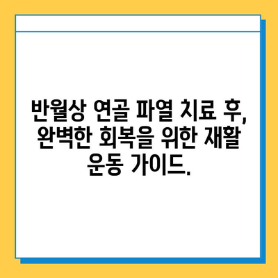 반월상 연골 파열| 증상, 치료, 그리고 완벽한 회복을 위한 재활 가이드 | 무릎 통증, 수술, 운동, 재활