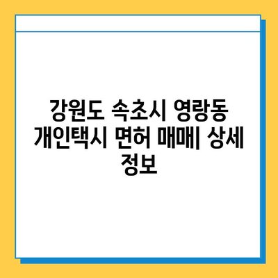 강원도 속초시 영랑동 개인택시 면허 매매 가격| 오늘 시세, 번호판 값, 자격 조건, 월 수입, 양수 교육 | 상세 정보 및 가이드