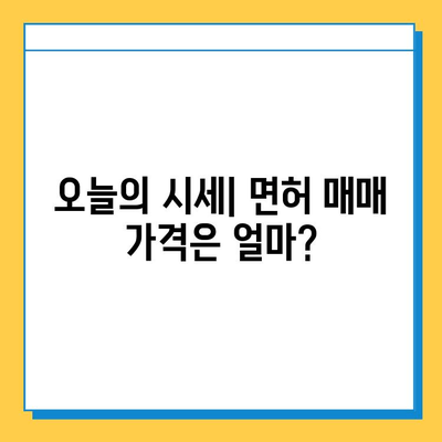 강원도 속초시 영랑동 개인택시 면허 매매 가격| 오늘 시세, 번호판 값, 자격 조건, 월 수입, 양수 교육 | 상세 정보 및 가이드