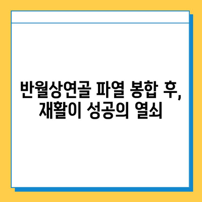 반월상연골 파열 봉합 수술 후, 재활이 성공을 결정짓는다| 필수적인 재활 프로그램 안내 | 반월상연골 파열, 봉합 수술, 재활 운동, 회복