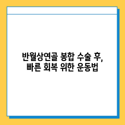 반월상연골 봉합 수술 후, 빠른 회복을 위한 필수 재활 가이드 | 운동, 주의사항, 재활 프로그램