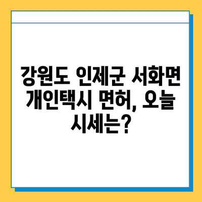 강원도 인제군 서화면 개인택시 면허 매매 가격| 오늘 시세 확인 & 자격조건, 월수입, 양수교육 정보 | 번호판, 넘버값, 면허 취득