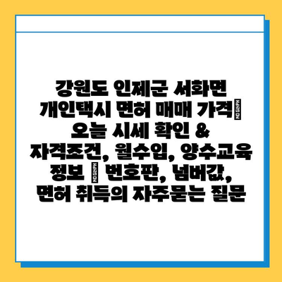 강원도 인제군 서화면 개인택시 면허 매매 가격| 오늘 시세 확인 & 자격조건, 월수입, 양수교육 정보 | 번호판, 넘버값, 면허 취득