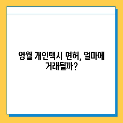 강원도 영월군 영월읍 개인택시 면허 매매 | 오늘 시세, 넘버값, 자격조건, 월수입, 양수교육 | 상세 정보