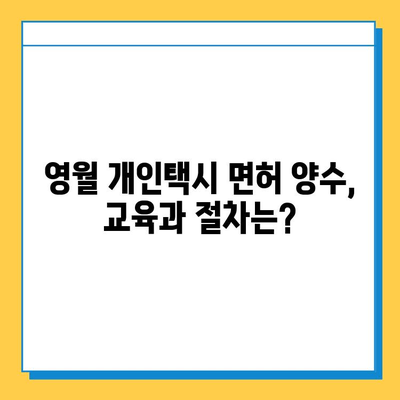 강원도 영월군 영월읍 개인택시 면허 매매 | 오늘 시세, 넘버값, 자격조건, 월수입, 양수교육 | 상세 정보