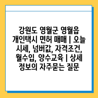 강원도 영월군 영월읍 개인택시 면허 매매 | 오늘 시세, 넘버값, 자격조건, 월수입, 양수교육 | 상세 정보