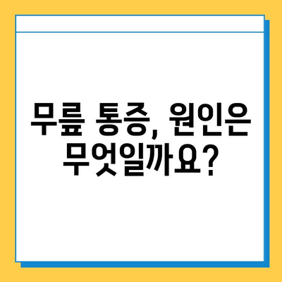 무릎 부상, 헷갈리는 반월상 연골 파열과 십자인대 파열의 차이점 | 증상, 원인, 치료 비교