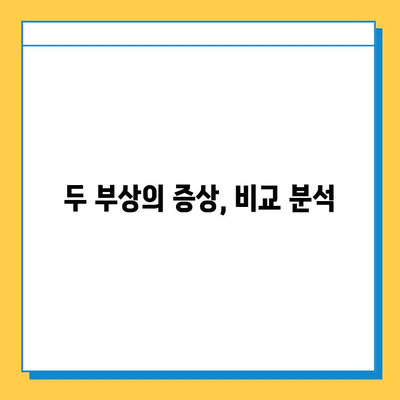 무릎 부상, 헷갈리는 반월상 연골 파열과 십자인대 파열의 차이점 | 증상, 원인, 치료 비교