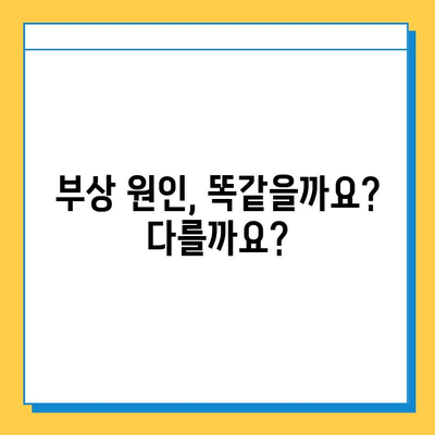 무릎 부상, 헷갈리는 반월상 연골 파열과 십자인대 파열의 차이점 | 증상, 원인, 치료 비교