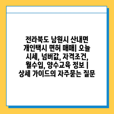 전라북도 남원시 산내면 개인택시 면허 매매| 오늘 시세, 넘버값, 자격조건, 월수입, 양수교육 정보 | 상세 가이드