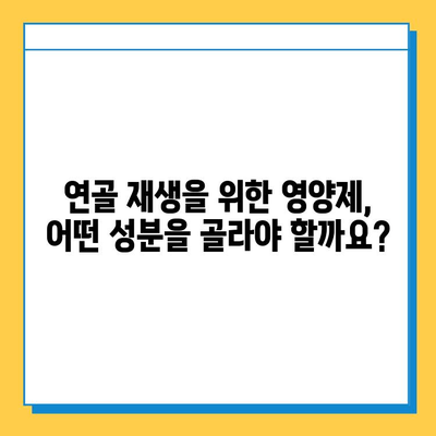 관절 건강 지키는 현명한 선택, 관절 연골 영양제 고르는 기준 | 관절 통증, 연골 재생, 건강 기능 식품