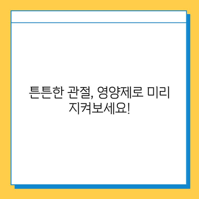 관절 건강 지키는 현명한 선택, 관절 연골 영양제 고르는 기준 | 관절 통증, 연골 재생, 건강 기능 식품