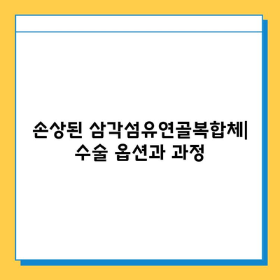 삼각섬유연골복합체 손상, 수술 치료 옵션 완벽 가이드 | 어깨 통증, 회전근 개 파열, 수술 후 재활