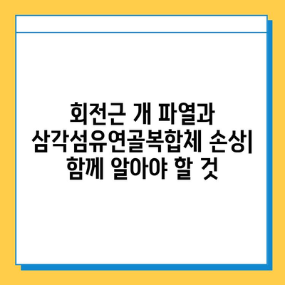 삼각섬유연골복합체 손상, 수술 치료 옵션 완벽 가이드 | 어깨 통증, 회전근 개 파열, 수술 후 재활