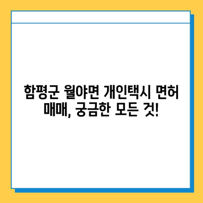 함평군 월야면 개인택시 면허 매매 가격| 오늘 시세 확인 & 자격조건 | 넘버값, 월수입, 양수교육