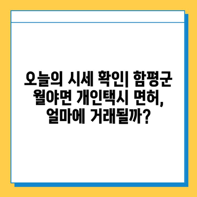 함평군 월야면 개인택시 면허 매매 가격| 오늘 시세 확인 & 자격조건 | 넘버값, 월수입, 양수교육