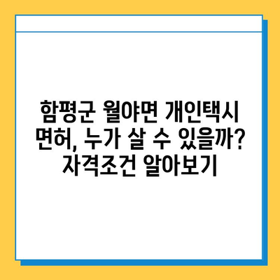 함평군 월야면 개인택시 면허 매매 가격| 오늘 시세 확인 & 자격조건 | 넘버값, 월수입, 양수교육