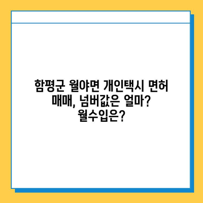 함평군 월야면 개인택시 면허 매매 가격| 오늘 시세 확인 & 자격조건 | 넘버값, 월수입, 양수교육