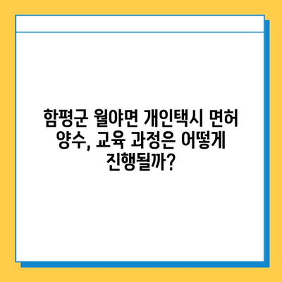 함평군 월야면 개인택시 면허 매매 가격| 오늘 시세 확인 & 자격조건 | 넘버값, 월수입, 양수교육