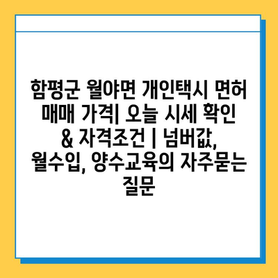 함평군 월야면 개인택시 면허 매매 가격| 오늘 시세 확인 & 자격조건 | 넘버값, 월수입, 양수교육