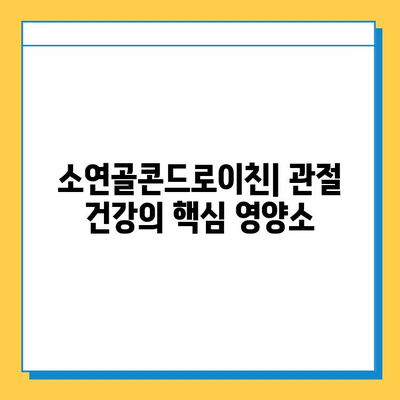 소연골콘드로이친| 관절 연골 건강 지키는 필수 영양소 | 관절 건강, 연골 관리, 소연골콘드로이친 효능