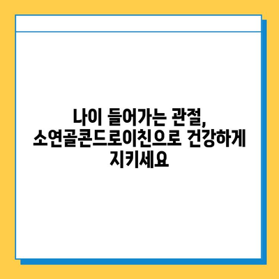 소연골콘드로이친| 관절 연골 건강 지키는 필수 영양소 | 관절 건강, 연골 관리, 소연골콘드로이친 효능