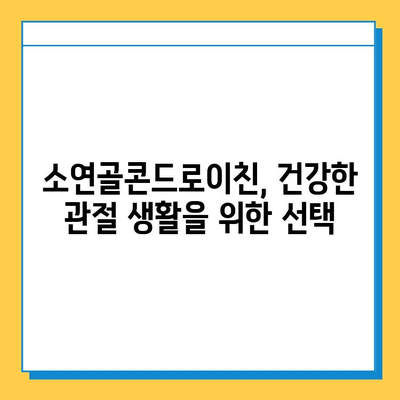 소연골콘드로이친| 관절 연골 건강 지키는 필수 영양소 | 관절 건강, 연골 관리, 소연골콘드로이친 효능