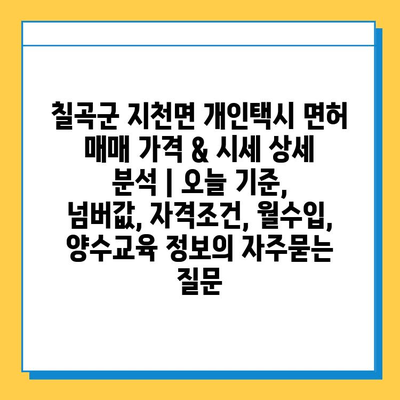 칠곡군 지천면 개인택시 면허 매매 가격 & 시세 상세 분석 | 오늘 기준, 넘버값, 자격조건, 월수입, 양수교육 정보