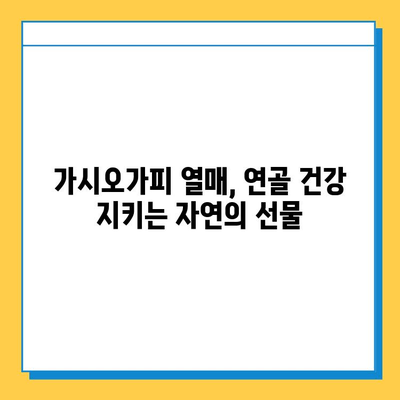 가시오가피 열매의 효능, 연골 건강 지키는 특별한 비밀 | 건강, 관절, 자연, 면역, 항산화