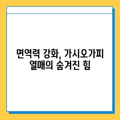 가시오가피 열매의 효능, 연골 건강 지키는 특별한 비밀 | 건강, 관절, 자연, 면역, 항산화