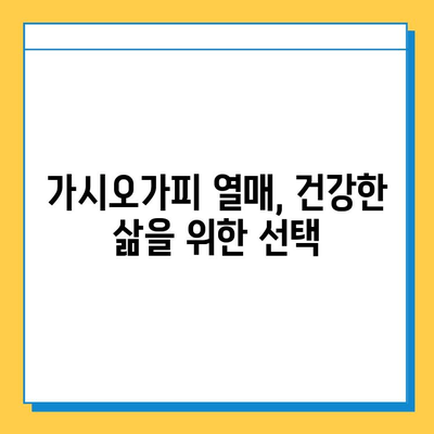 가시오가피 열매의 효능, 연골 건강 지키는 특별한 비밀 | 건강, 관절, 자연, 면역, 항산화