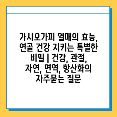 가시오가피 열매의 효능, 연골 건강 지키는 특별한 비밀 | 건강, 관절, 자연, 면역, 항산화