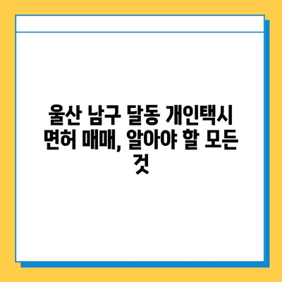 울산 남구 달동 개인택시 면허 매매 가격| 오늘 시세 & 넘버값 | 자격조건 | 월수입 | 양수교육