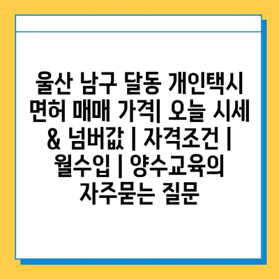 울산 남구 달동 개인택시 면허 매매 가격| 오늘 시세 & 넘버값 | 자격조건 | 월수입 | 양수교육