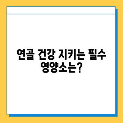 관절 통증 완화, 연골 건강 지키는 영양제 추천 | 관절염, 연골 재생, 효과적인 영양제