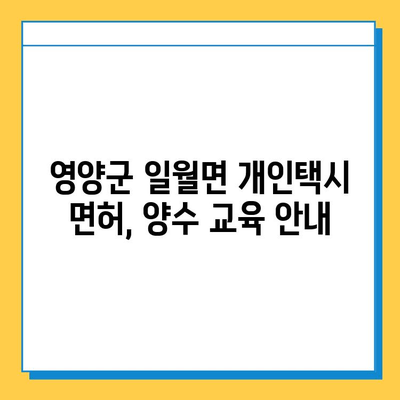 경상북도 영양군 일월면 개인택시 면허 매매 가격| 오늘 시세 확인 & 자격조건/월수입/양수교육 안내 | 번호판, 넘버값, 면허 취득, 지역 정보