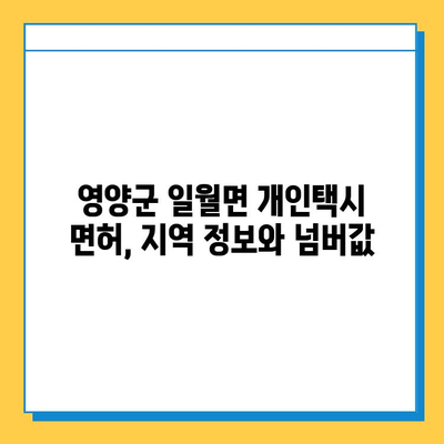 경상북도 영양군 일월면 개인택시 면허 매매 가격| 오늘 시세 확인 & 자격조건/월수입/양수교육 안내 | 번호판, 넘버값, 면허 취득, 지역 정보