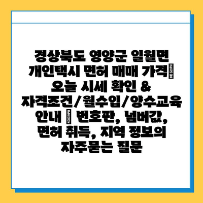 경상북도 영양군 일월면 개인택시 면허 매매 가격| 오늘 시세 확인 & 자격조건/월수입/양수교육 안내 | 번호판, 넘버값, 면허 취득, 지역 정보