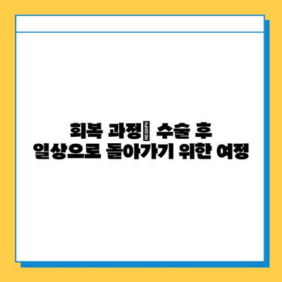 삼각섬유 연골 복합체 손상 수술 치료 안내|  수술 과정, 회복, 주의사항 | 어깨 통증, 팔꿈치 통증, 운동선수