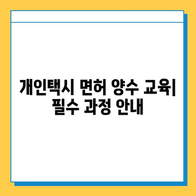 전라북도 완주군 이서면 개인택시 면허 매매 가이드| 오늘 시세, 넘버값, 자격조건, 월수입, 양수교육 | 완벽 정보