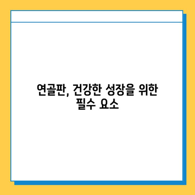 연골판 성장의 신비| 중요성, 과정, 그리고 우리 몸에 미치는 영향 | 성장판, 연골, 뼈, 건강, 성장