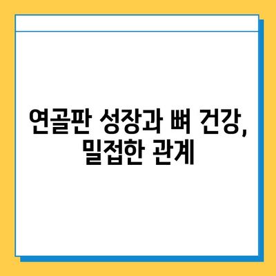 연골판 성장의 신비| 중요성, 과정, 그리고 우리 몸에 미치는 영향 | 성장판, 연골, 뼈, 건강, 성장