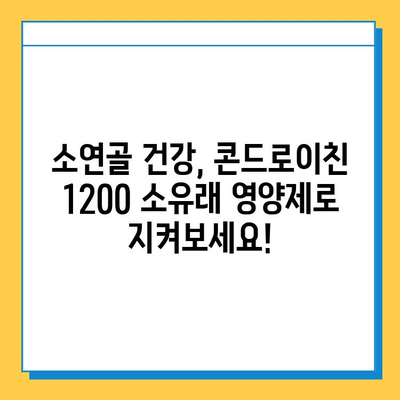 소연골 건강 지키는 솔루션! 콘드로이친 1200 소유래 영양제 리뷰 | 관절 건강, 연골, 영양제 추천